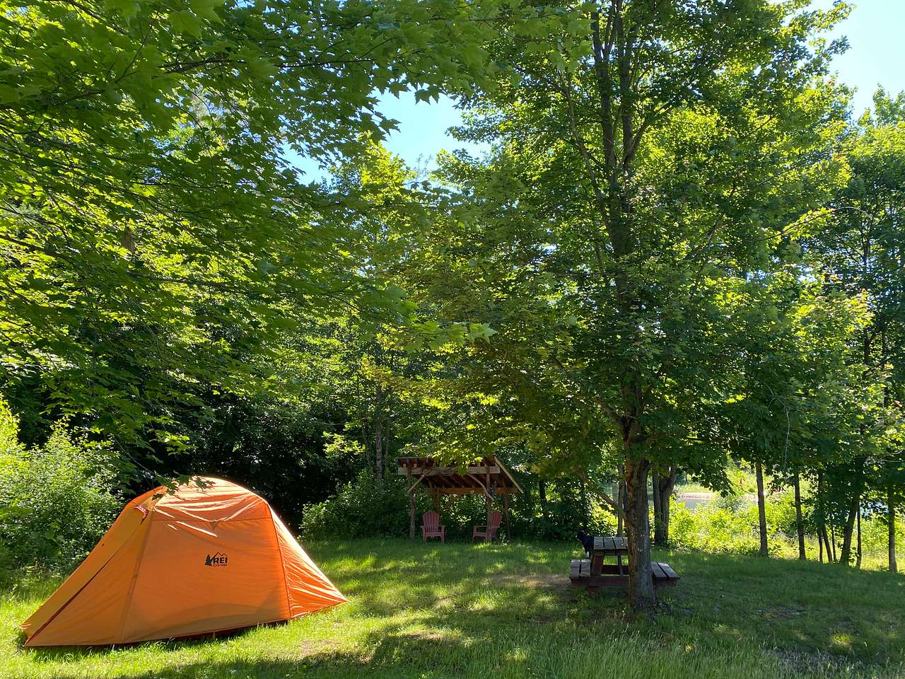 Picture of the site