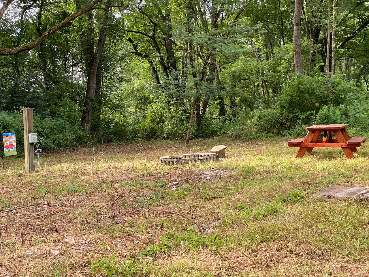 Picture of the site