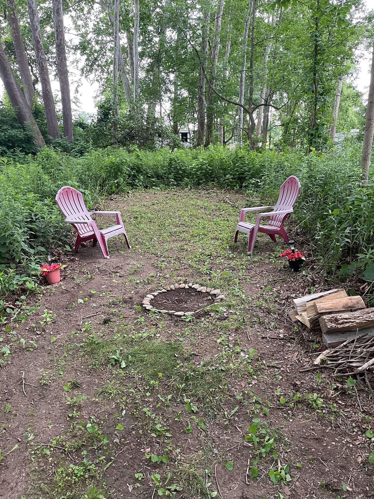 Picture of the site