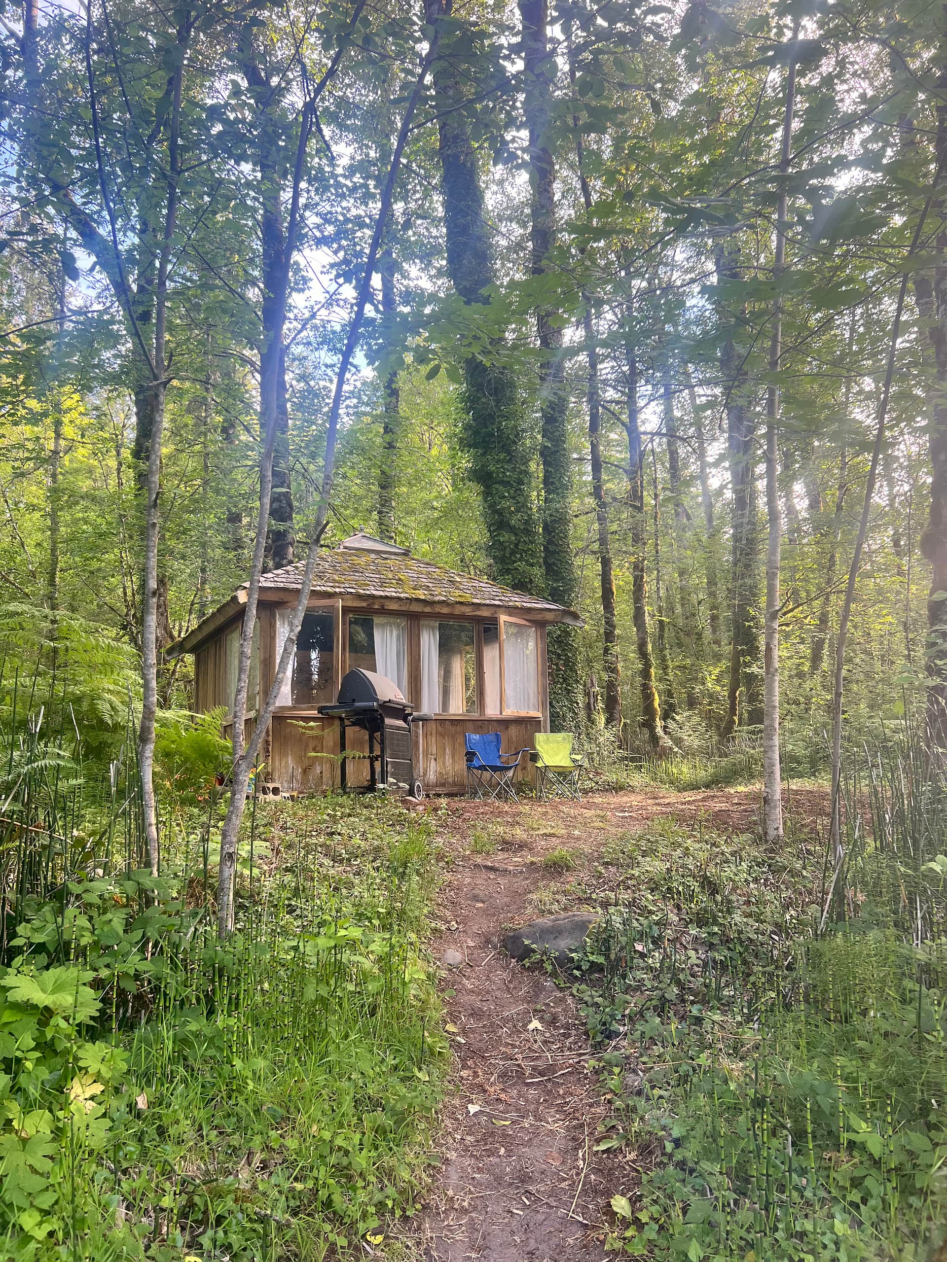 Mt. Hood Enchanted Forest