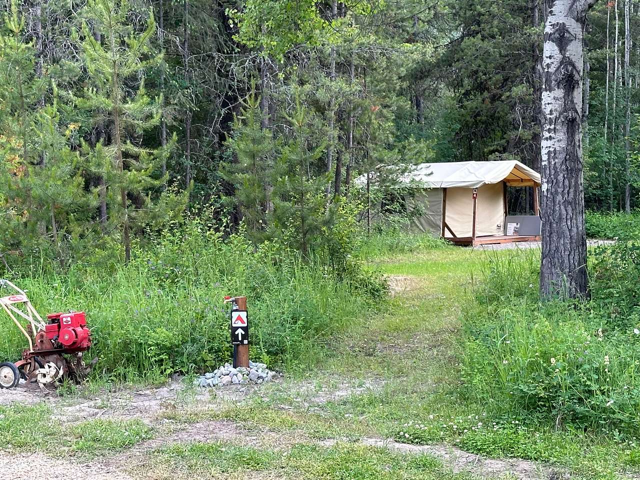 Picture of the site