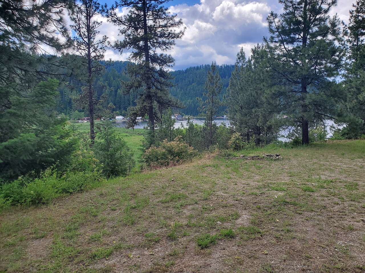 Beautiful views of Deer Lake, an abundance of wildlife and nature at its finest