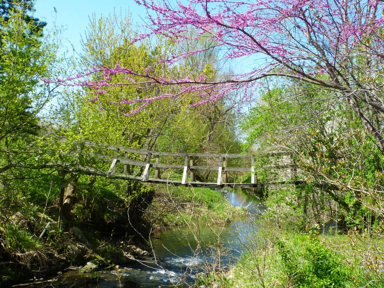 Ramsey Creek Natural Area
