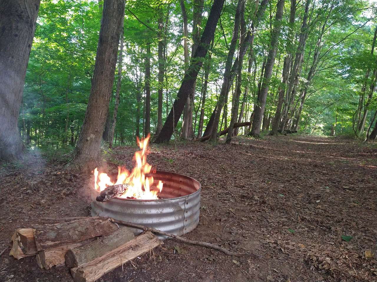 Picture of the site