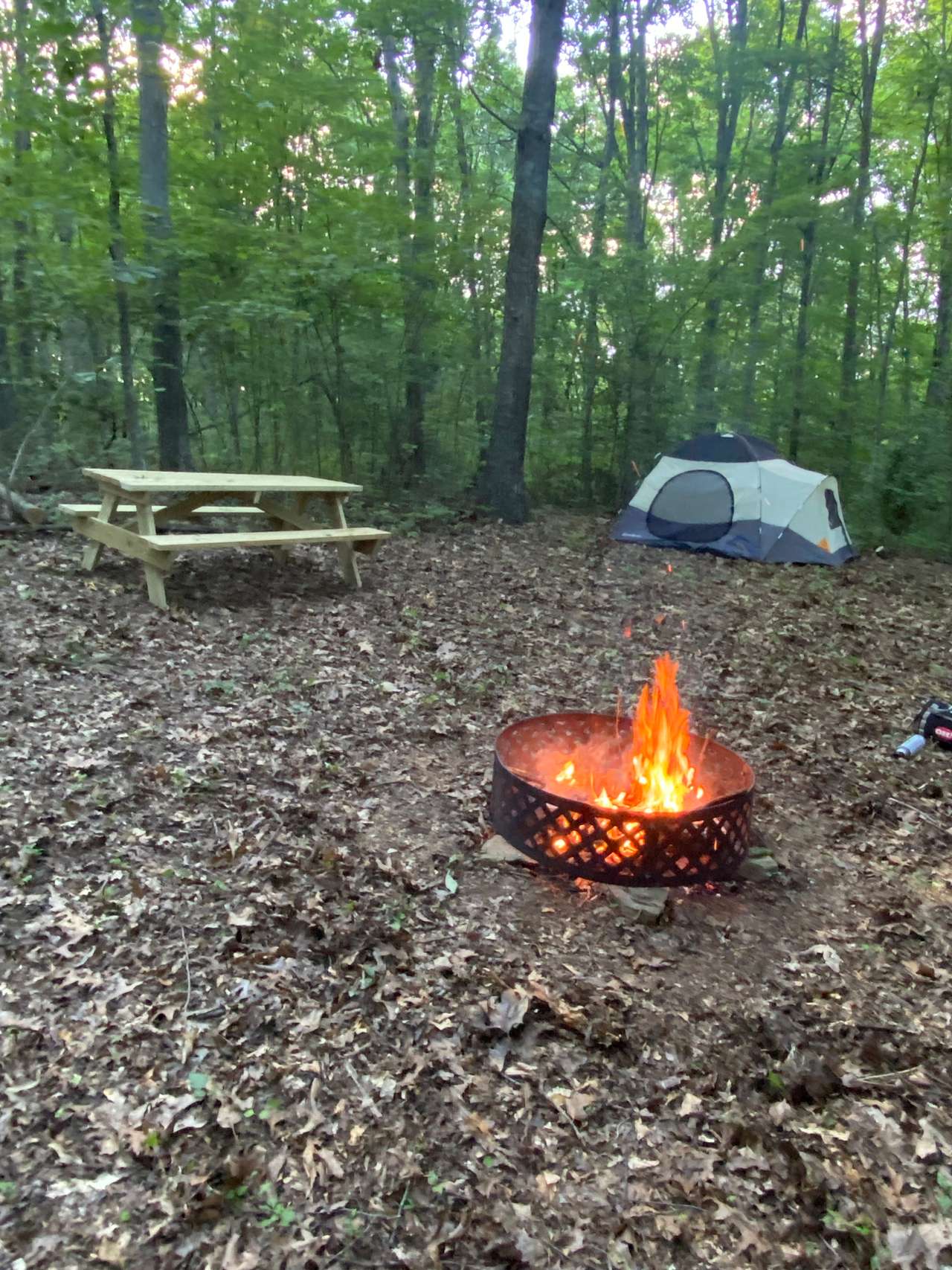 Picture of the site