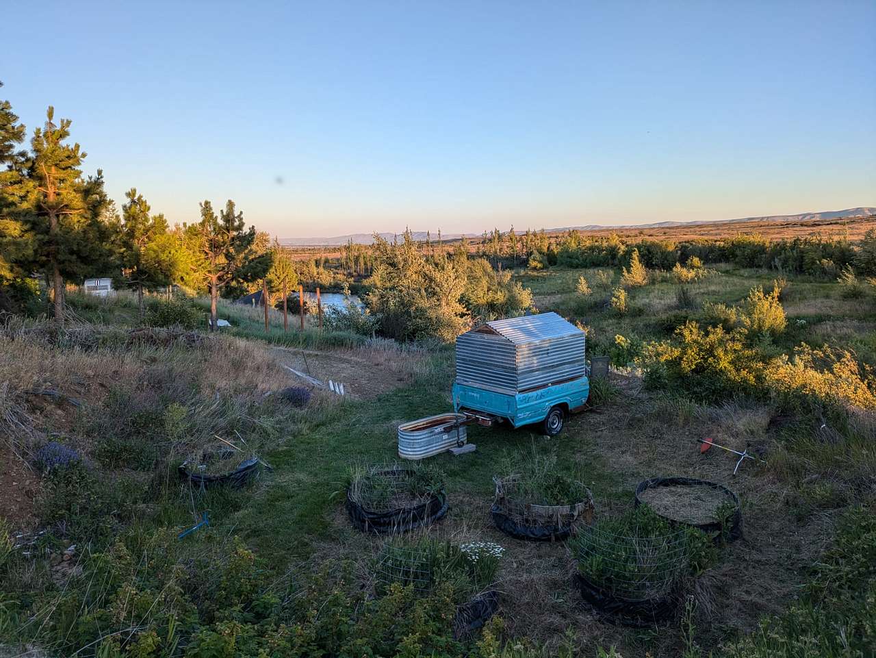 Picture of the site