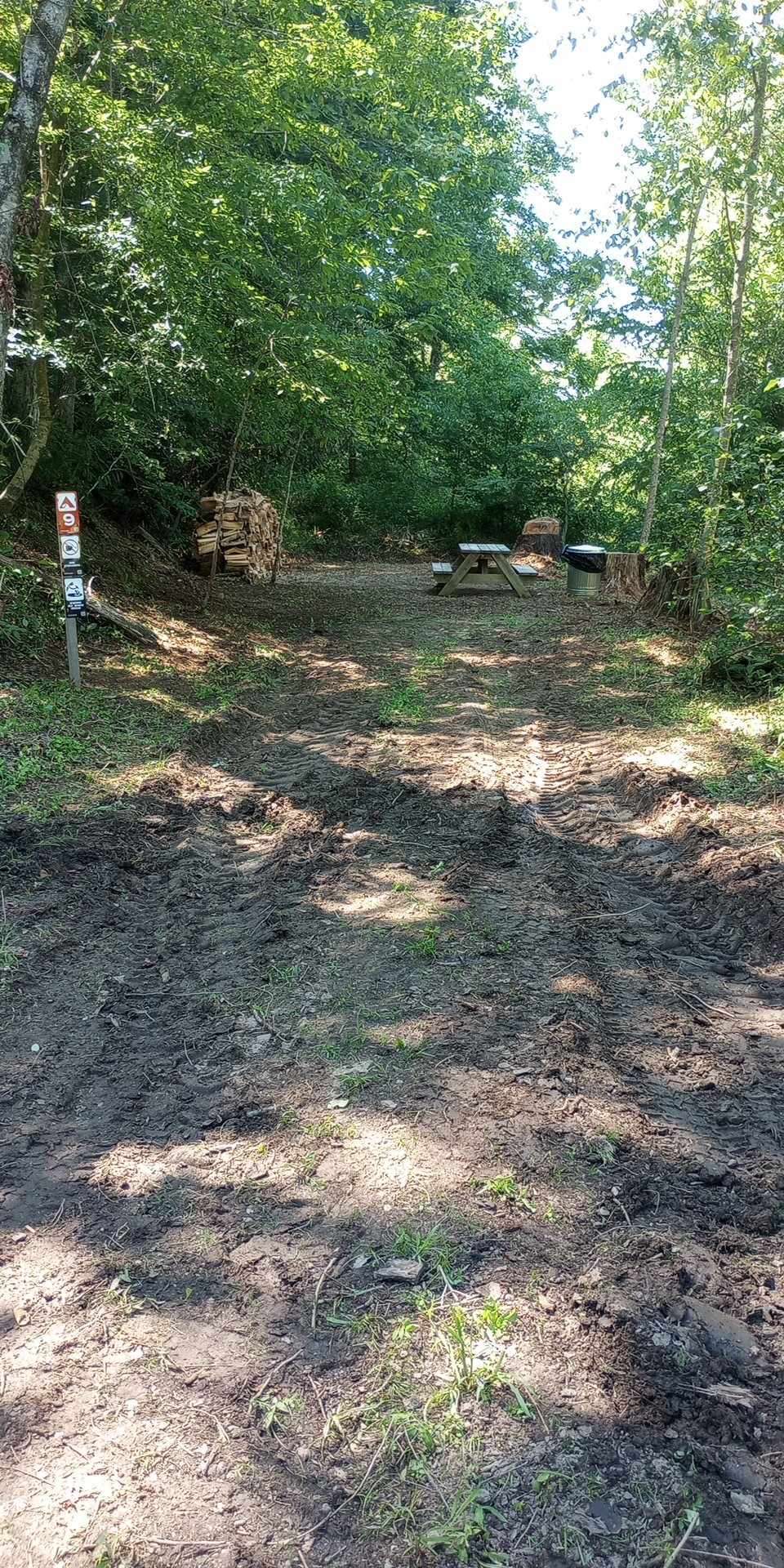 Picture of the site
