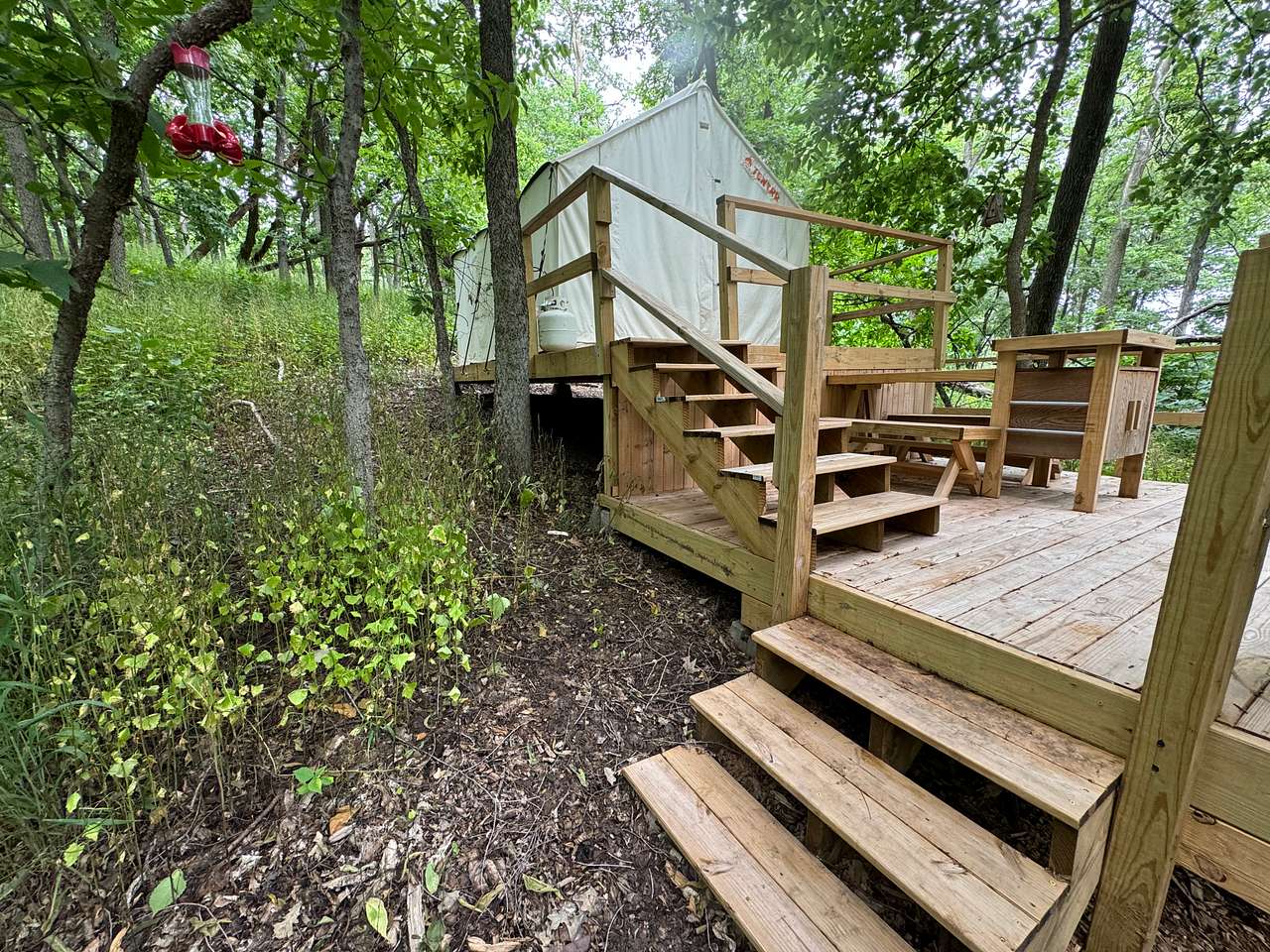 Picture of the site