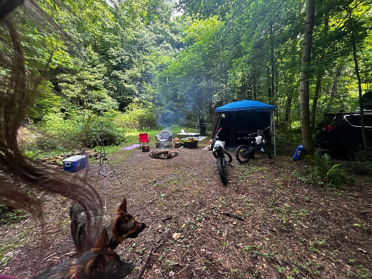 Picture of the site