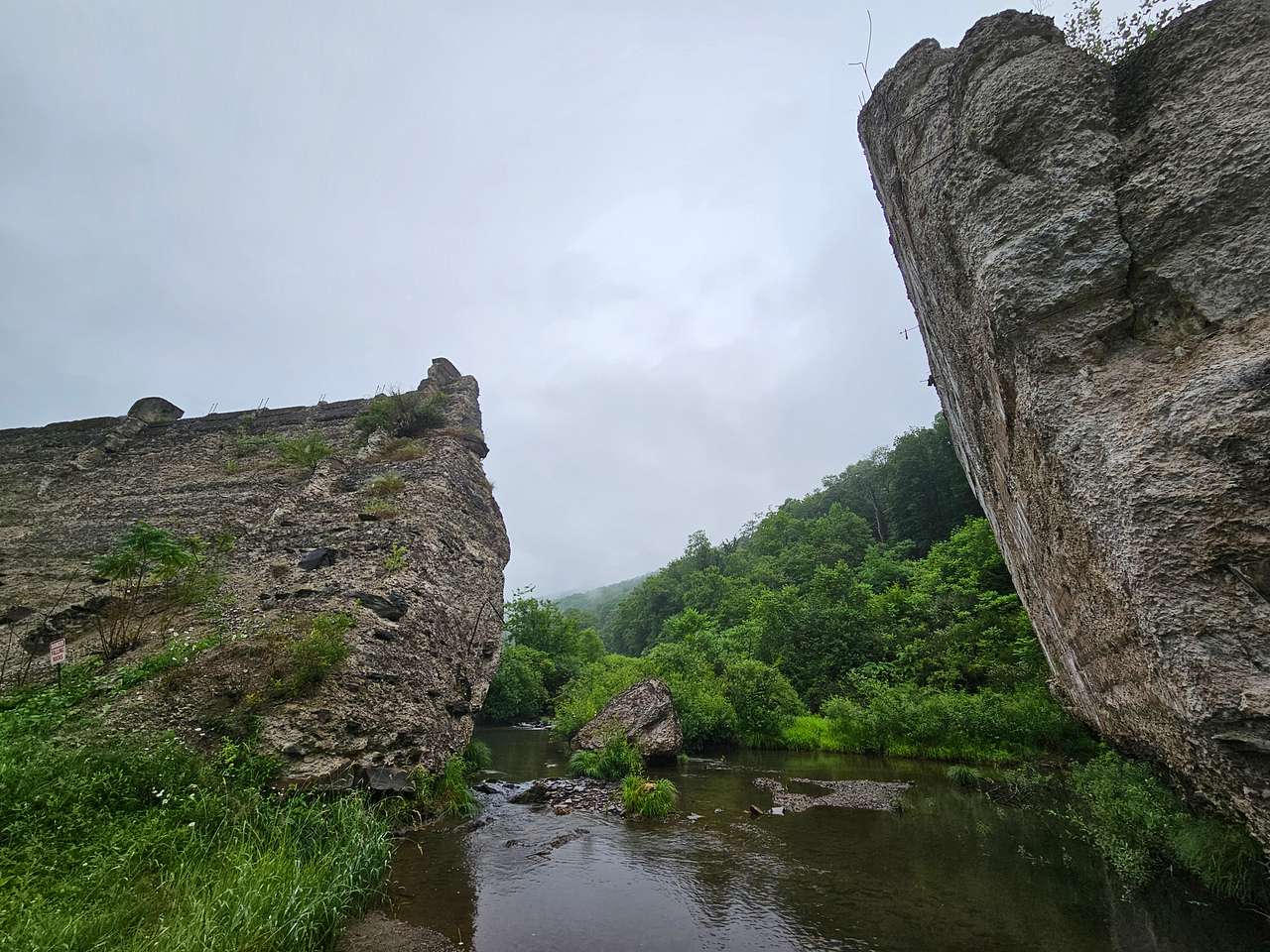 Picture of the site