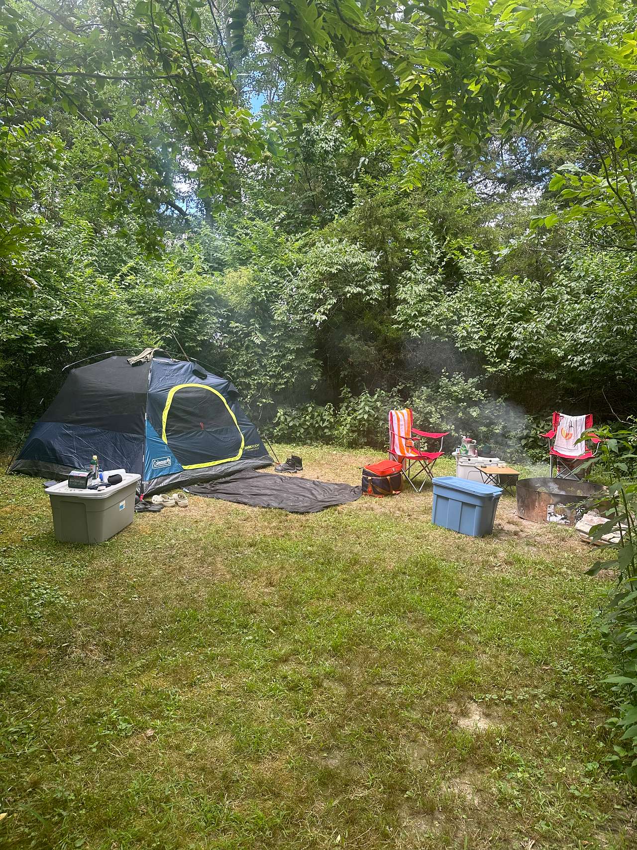 Picture of the site