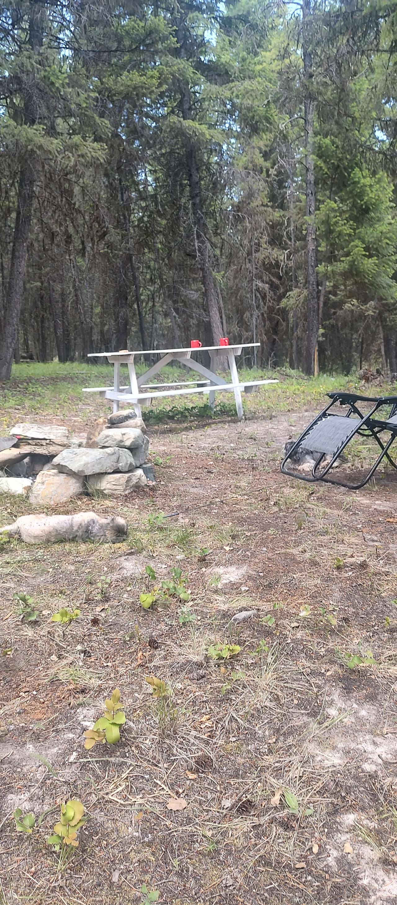 Heritage Cabin Property