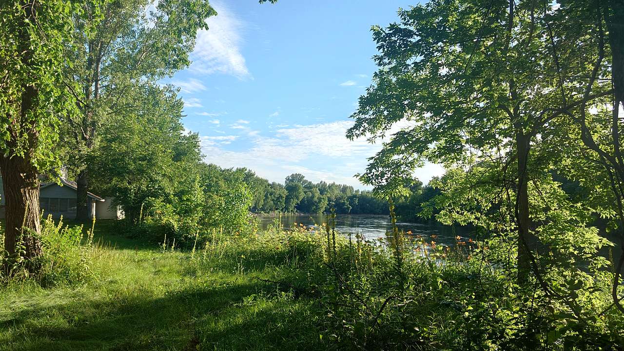 Iowa River just down the road