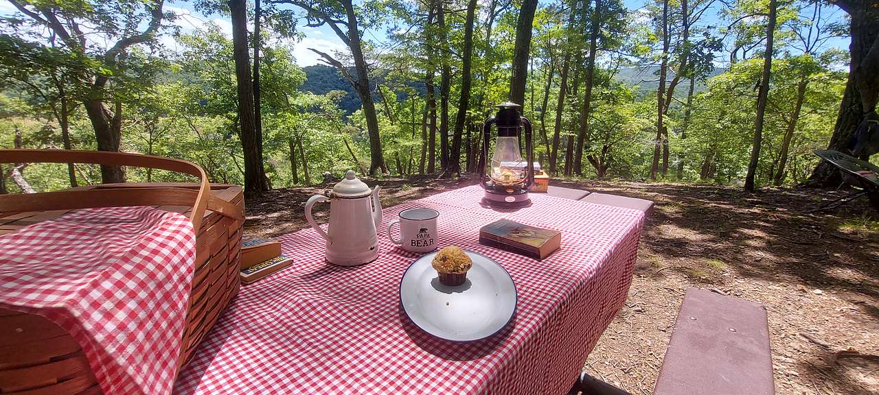 Riverside Mountain Retreat