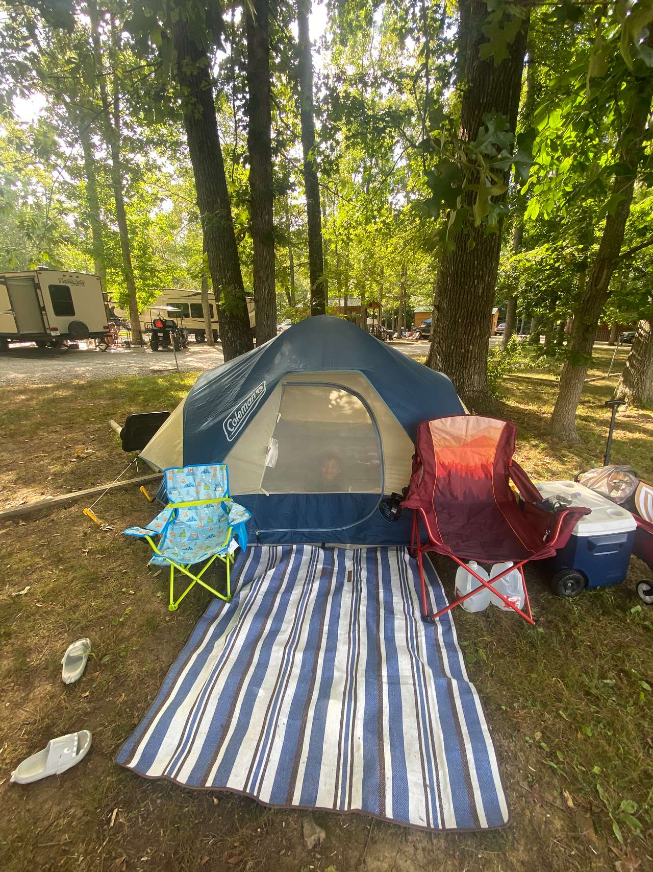 Picture of the site