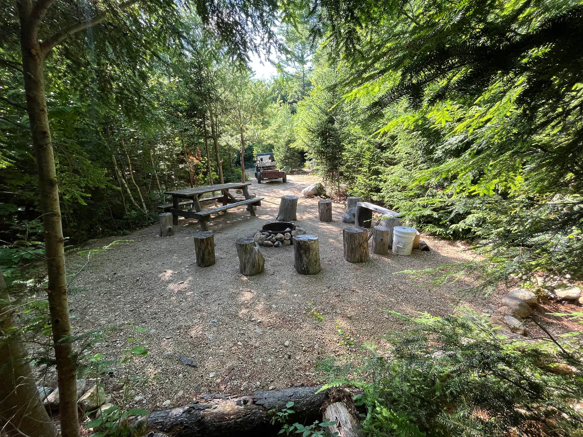 Picture of the site