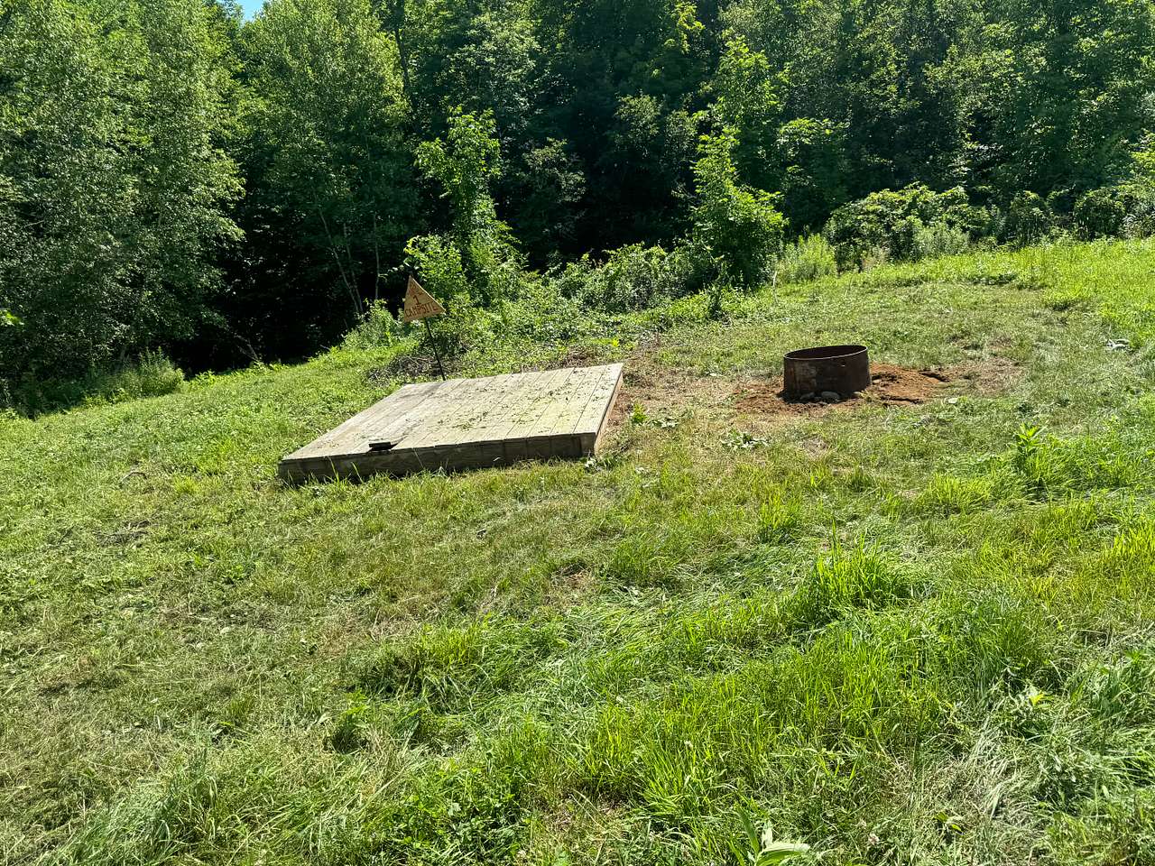 Picture of the site