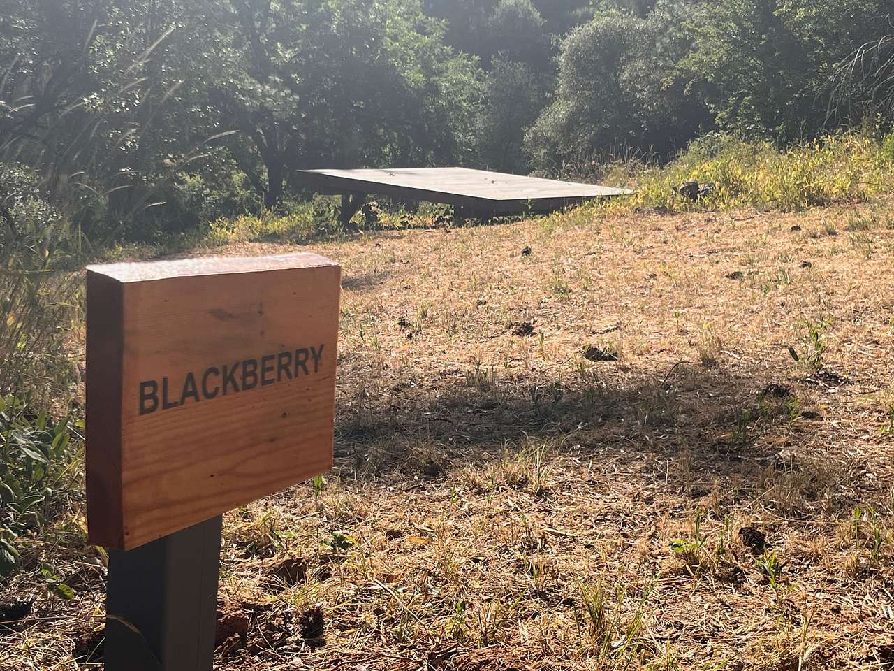 Picture of the site