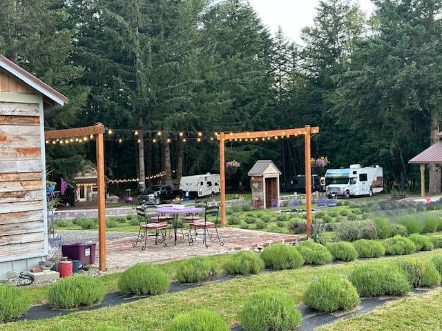 Pace Family Lavender & Hobby Farm