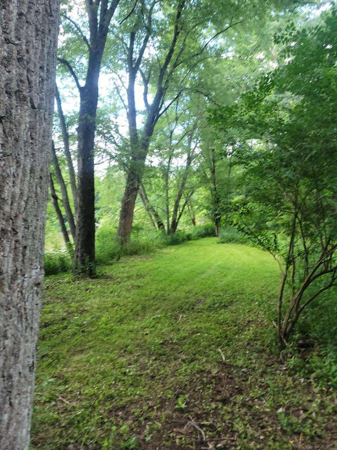 Far Bank Site