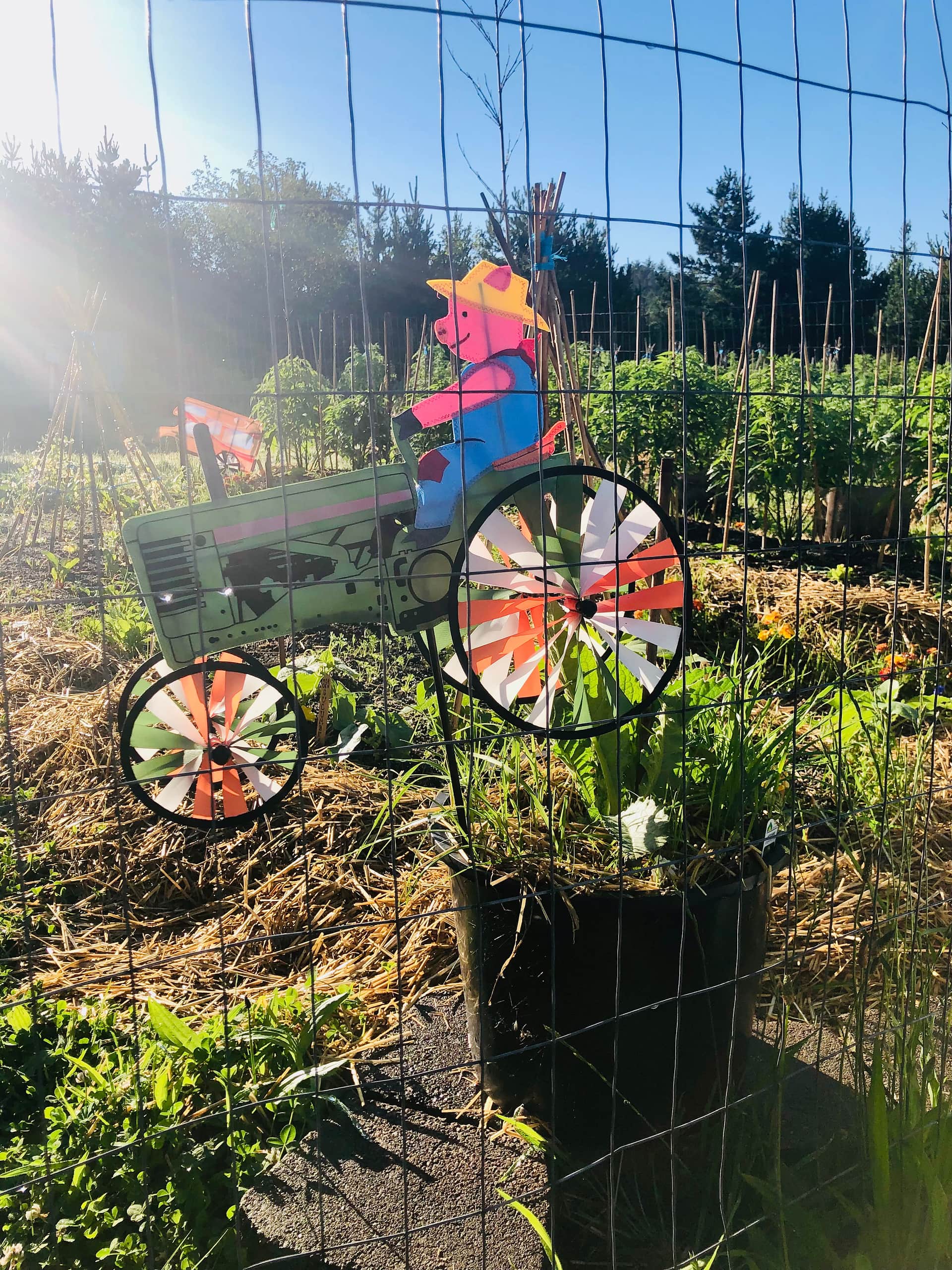 Coastal Farm Sanctuary