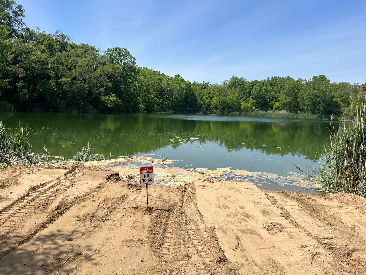 Picture of the site