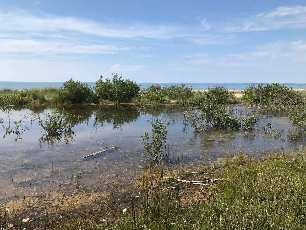 Picture of the site