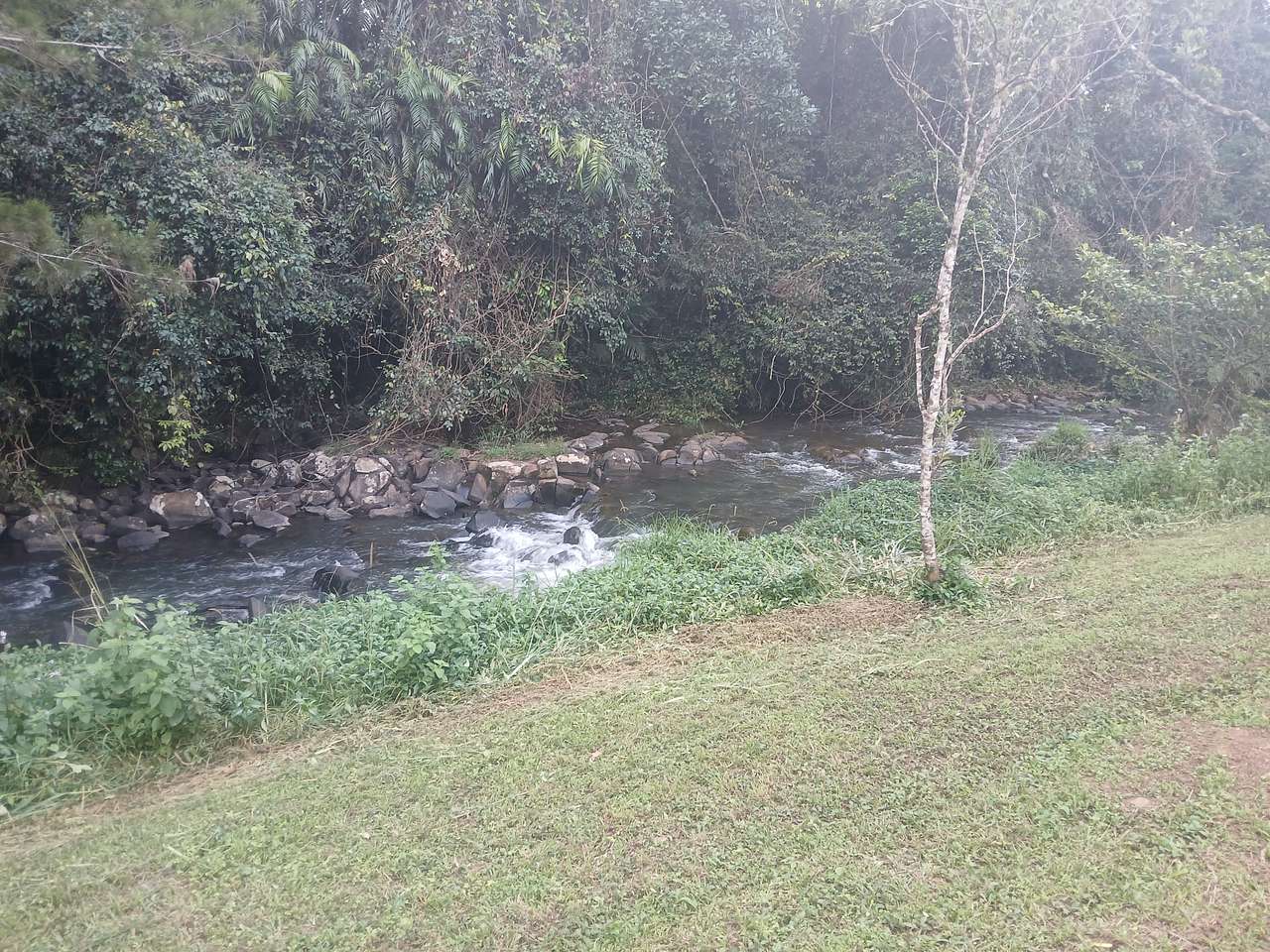 Malanda Stream Private Camping.