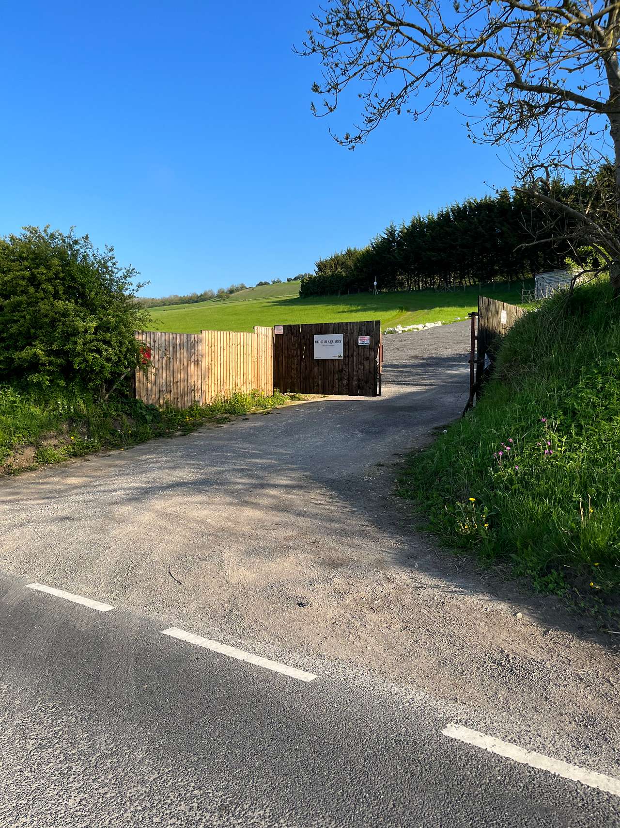 Picture of the site