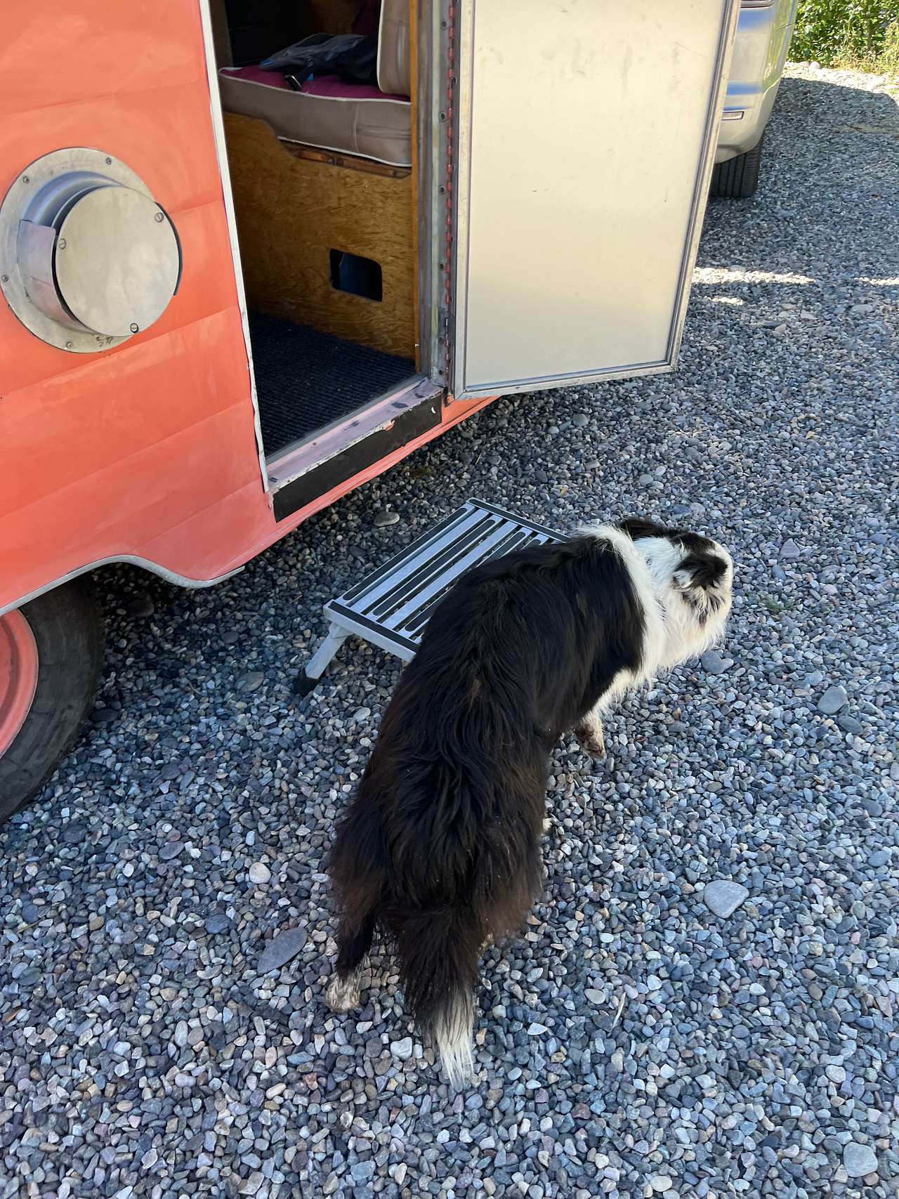 View pets photos of Cactus River Ranch RV