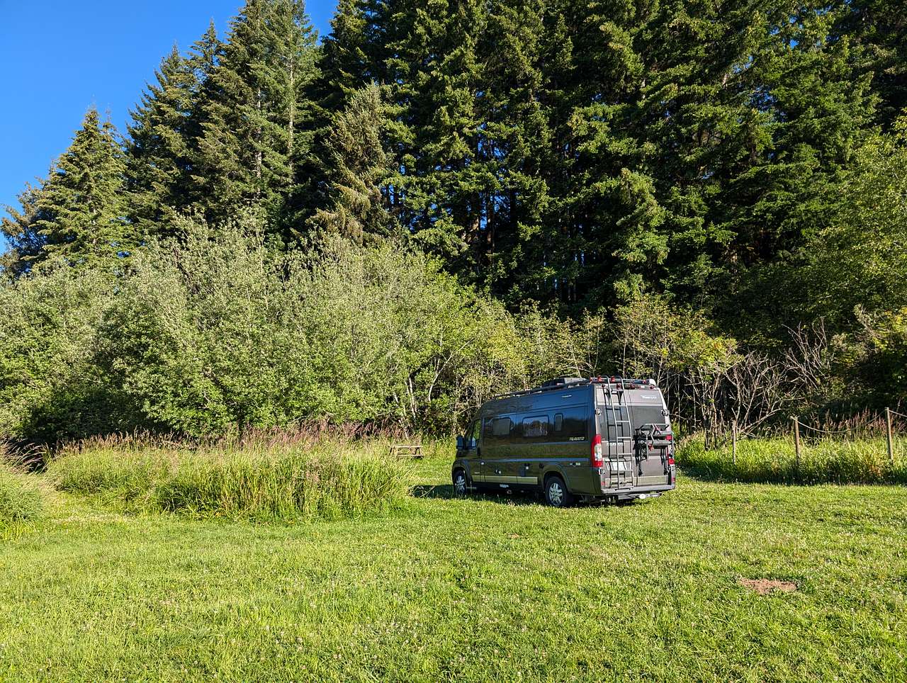 Basking in nature.