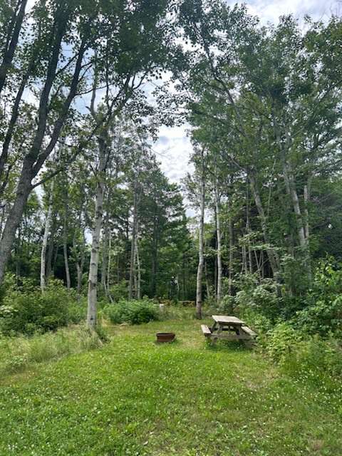 Tranquility Camping & Cottages