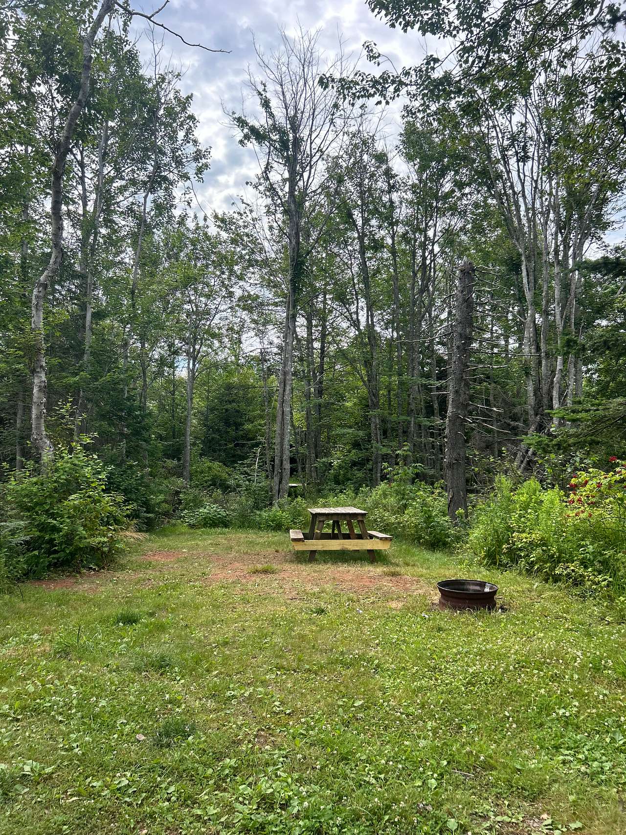 Tranquility Camping & Cottages