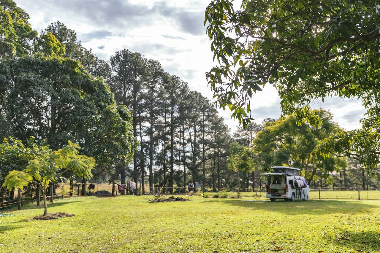 Palmwoods Park Horse / Farm Camping