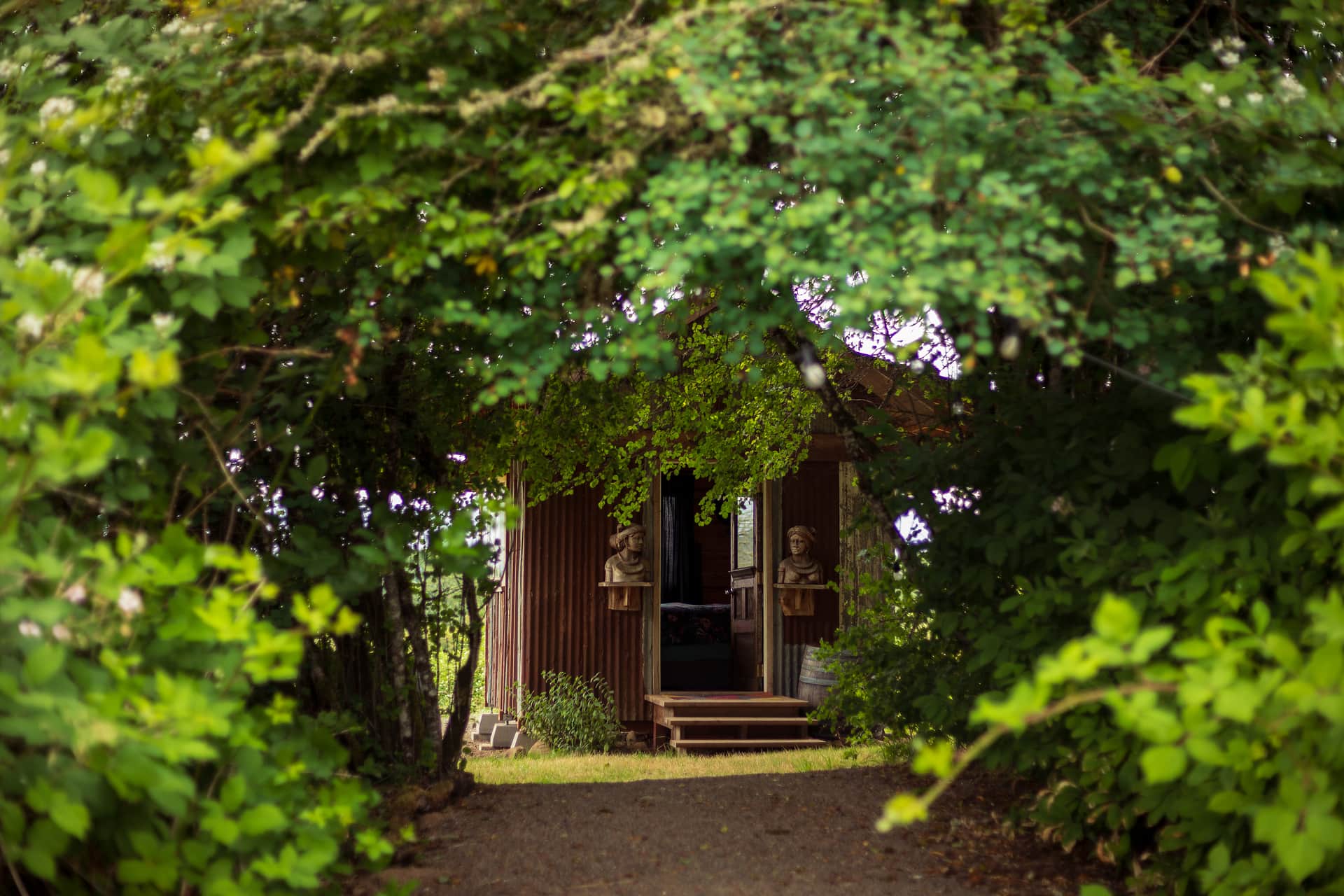 Walk through this magical wooded tunnel to get your cabin