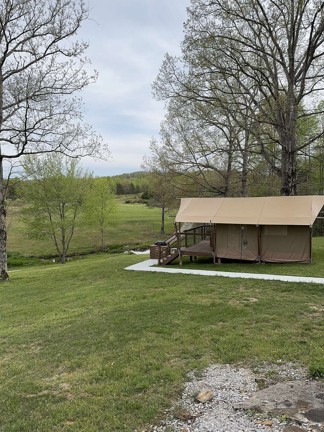 Picture of the site