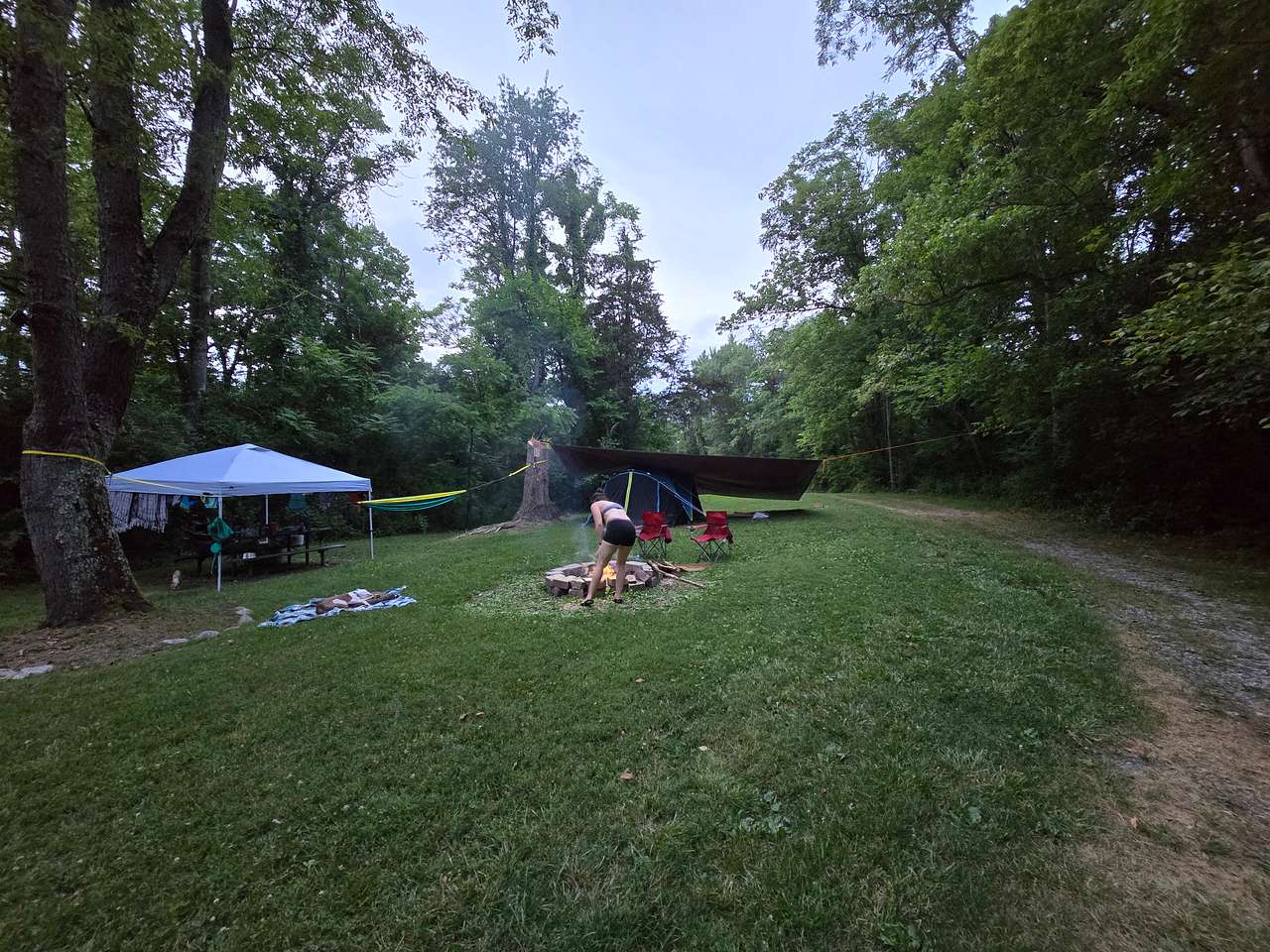 Picture of the site