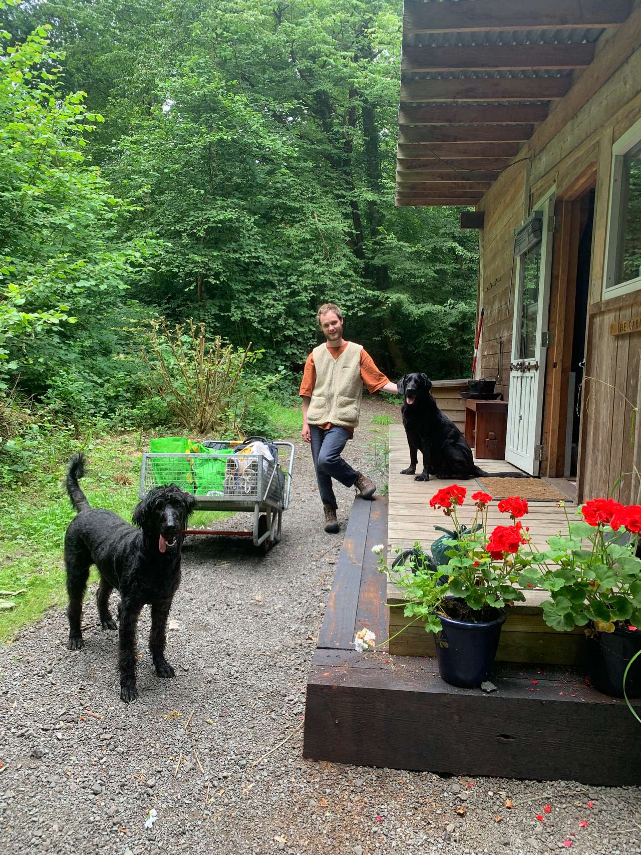 Dernwood Farm Camping & Glamping