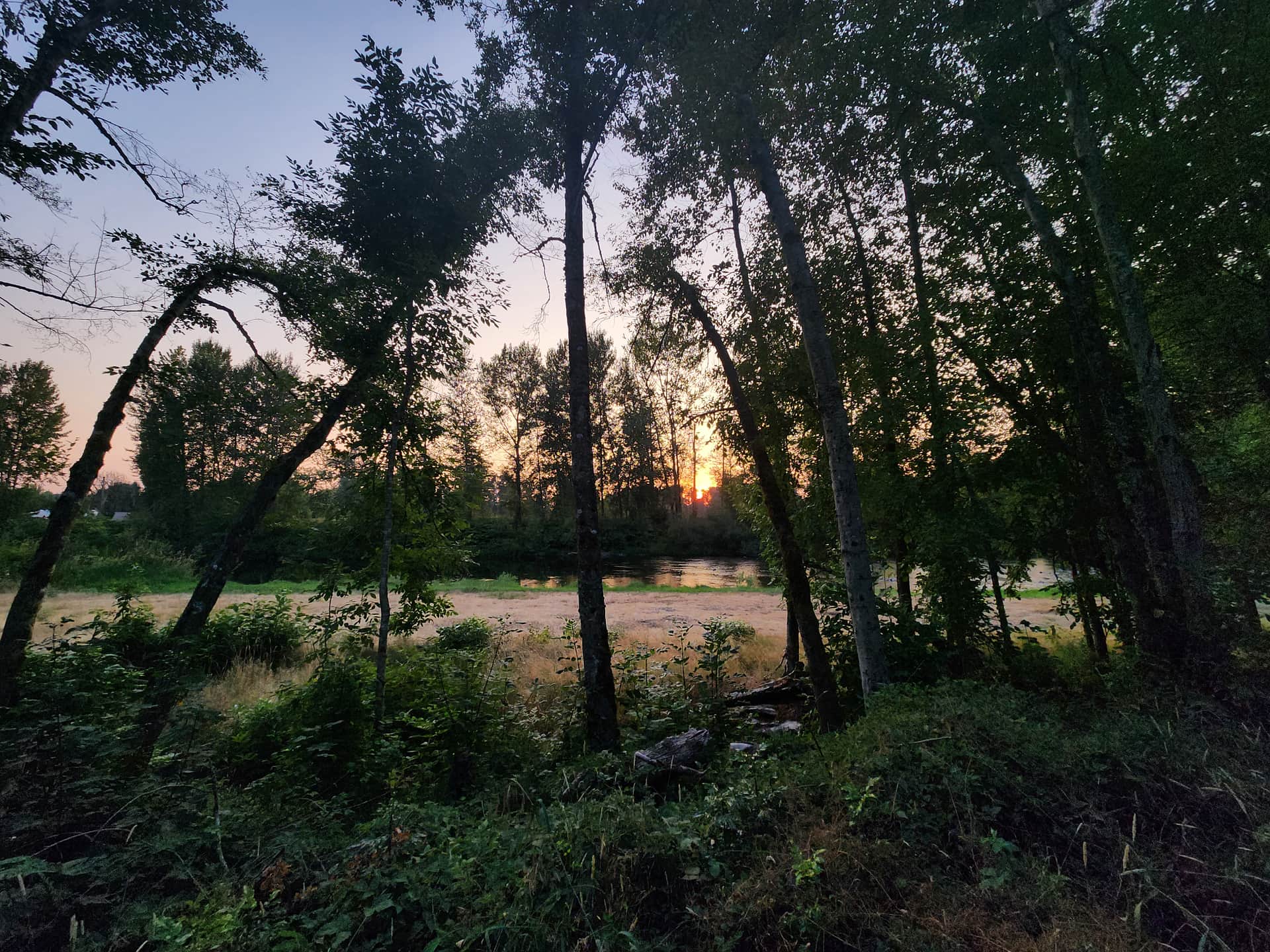 Molalla Ripple