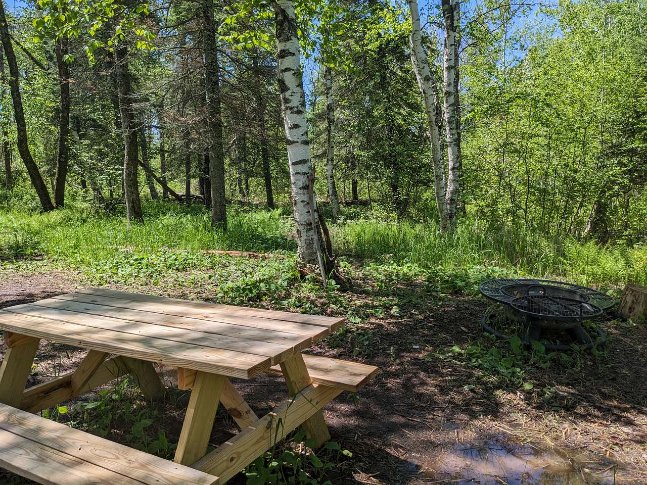 Picture of the site