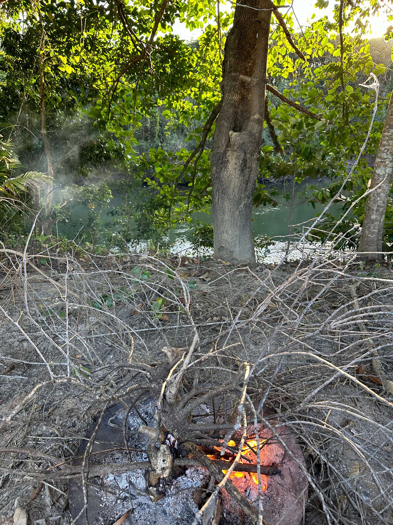 Picture of the site