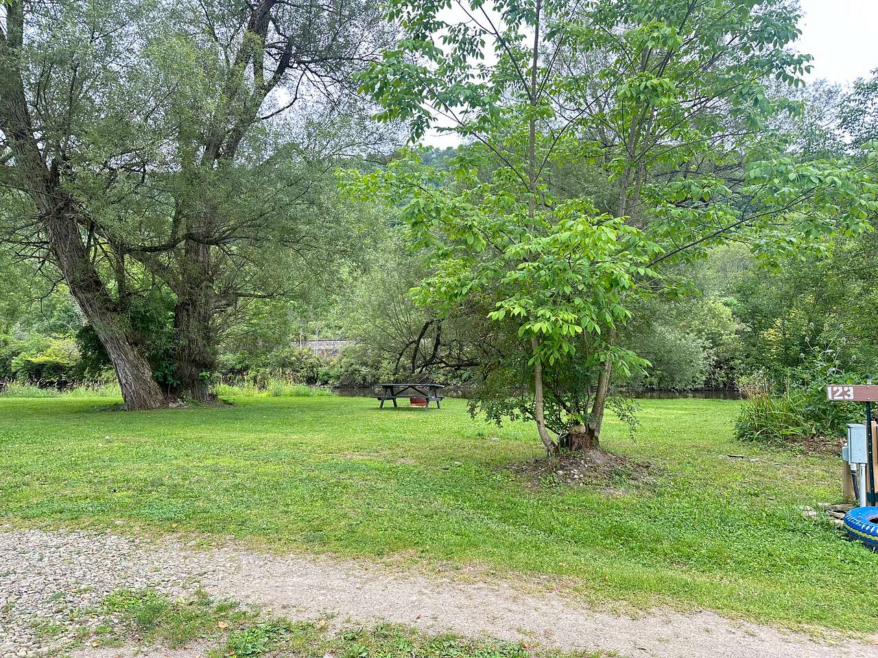 Picture of the site