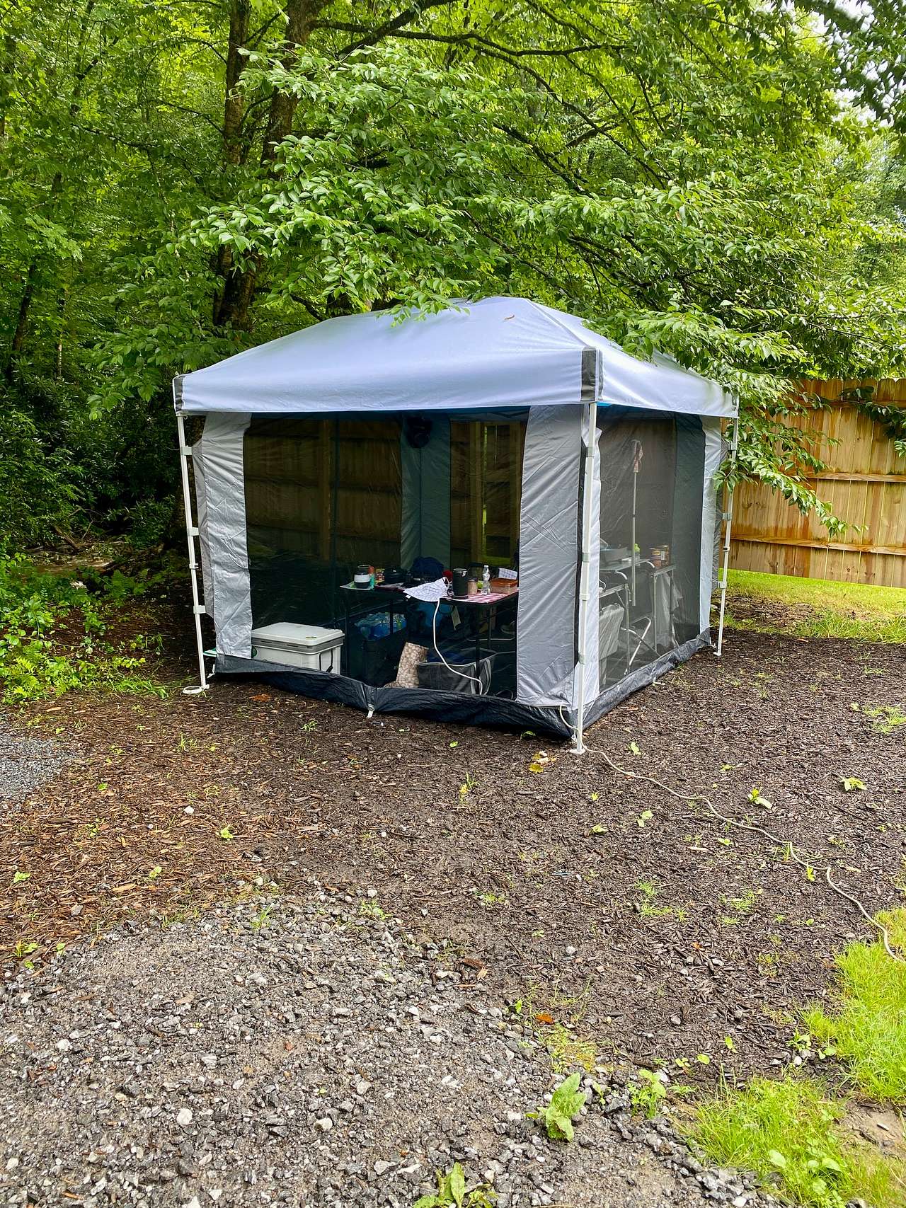 Picture of the site