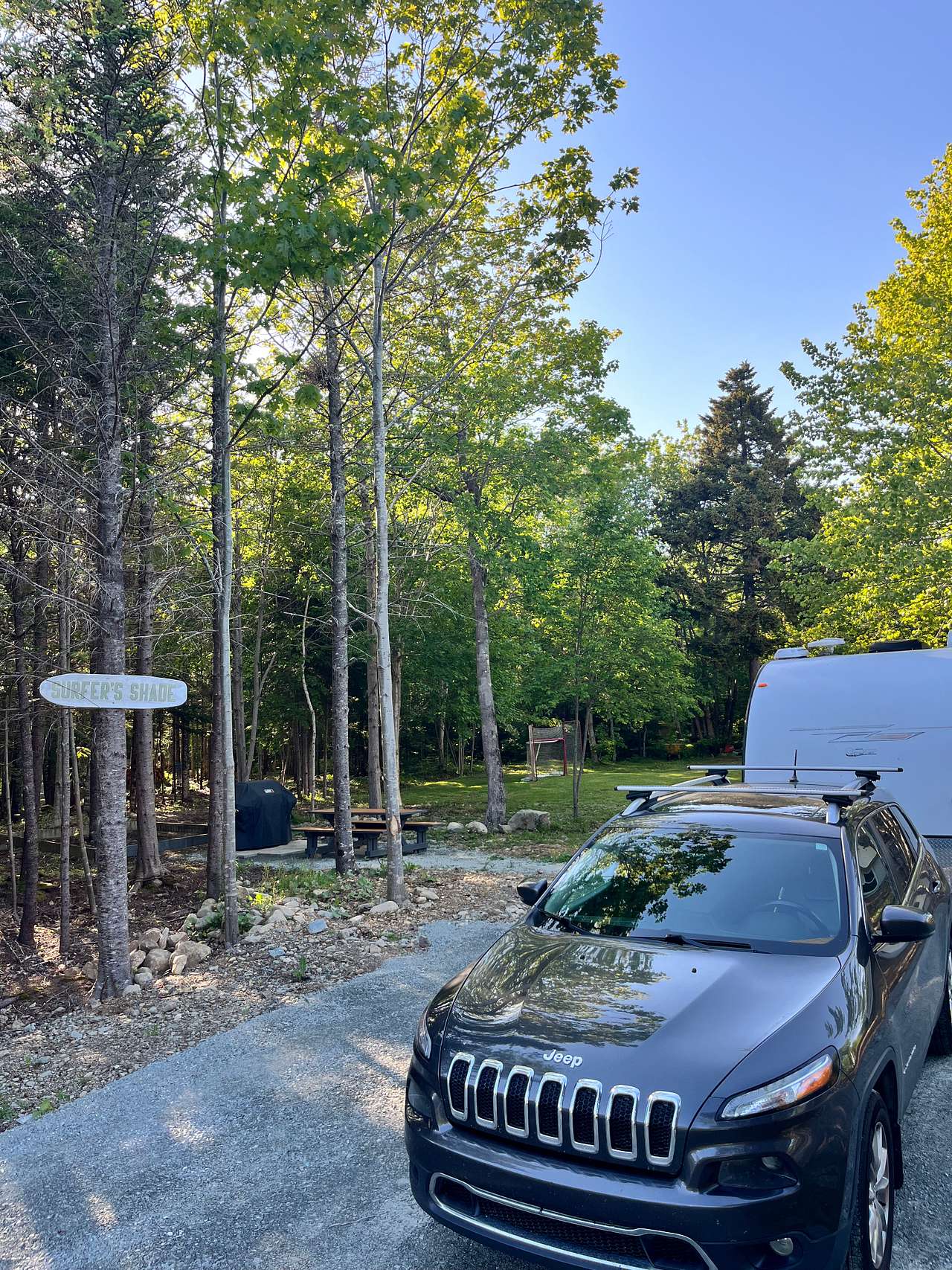Picture of the site