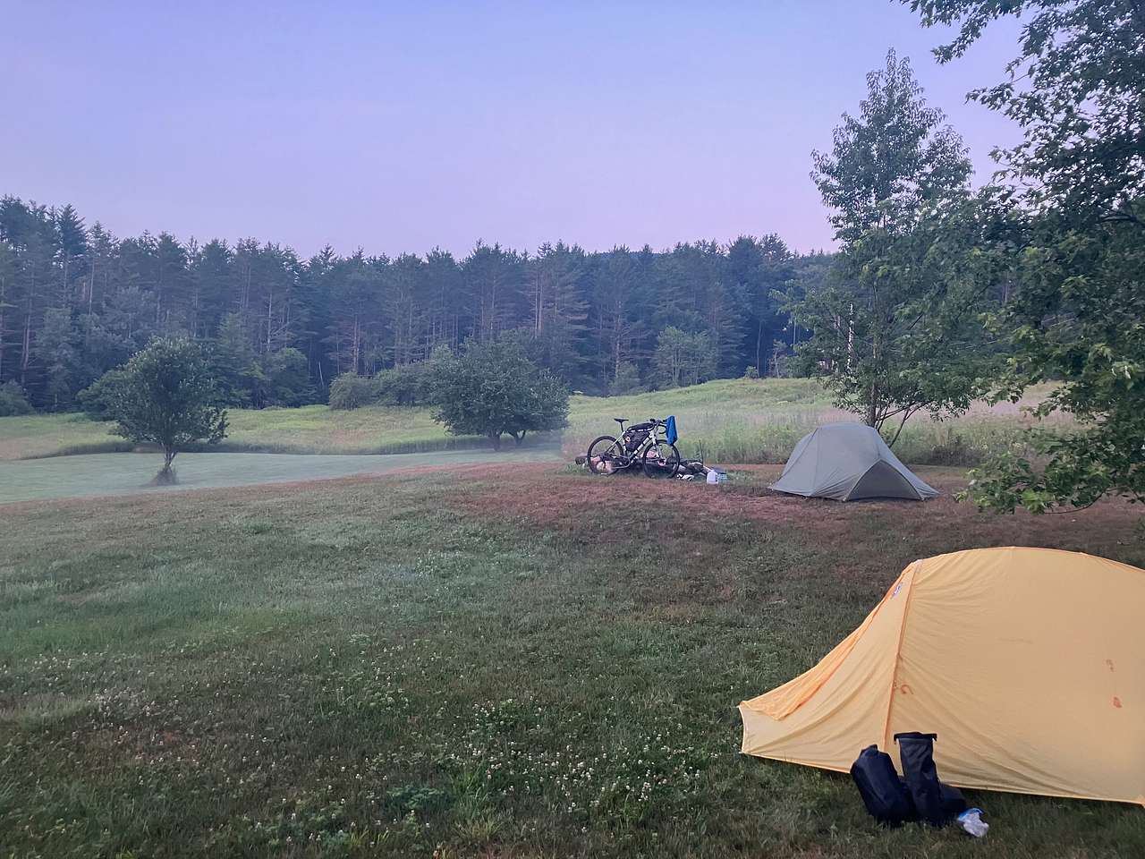 Picture of the site