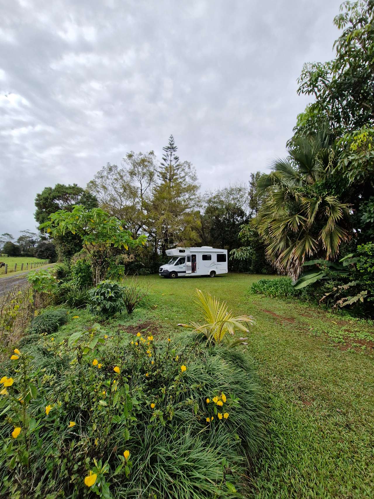 Three Falls Holiday Millaa Millaa