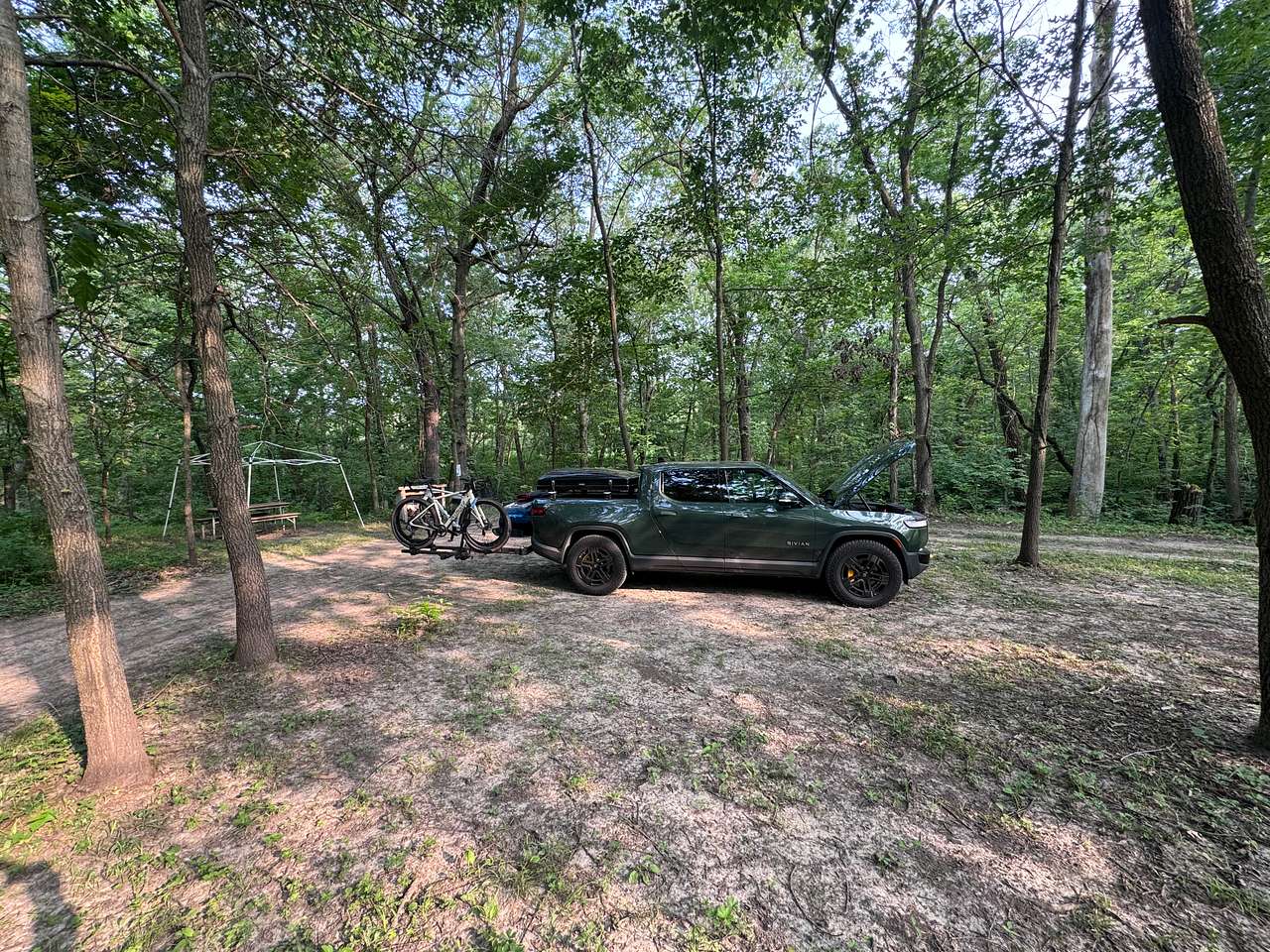 Picture of the site