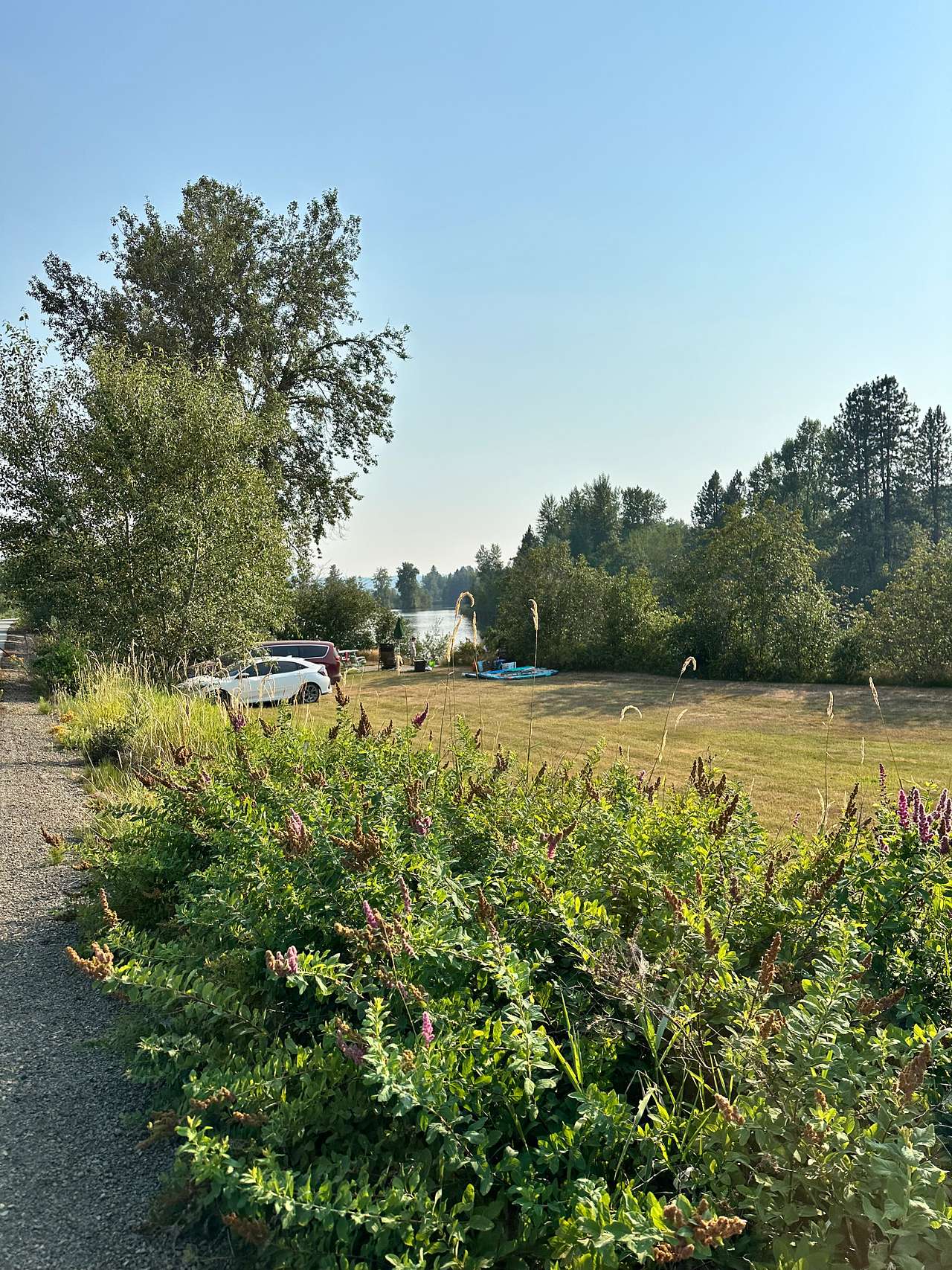 Picture of the site