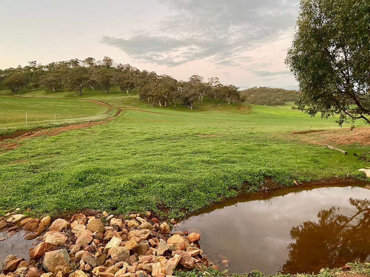 Sandalwood Downs  Farm Stay Toodyay