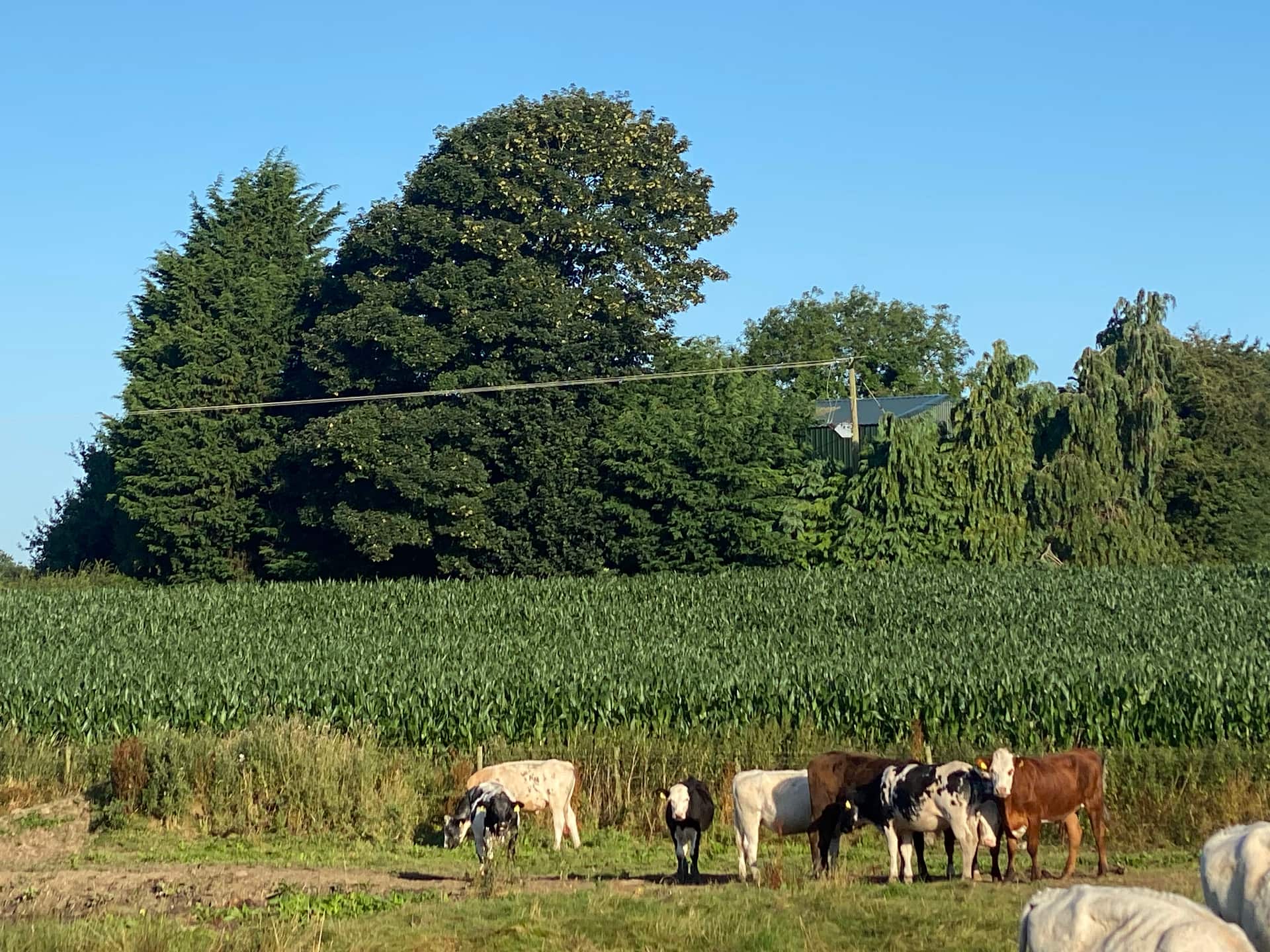 Fords Farm Glamping
